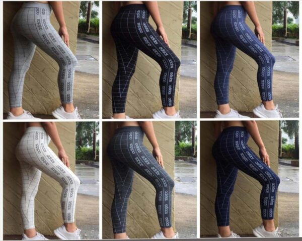 Women's Regular Fit Ankle Length Leggings