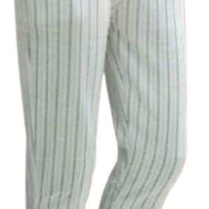 Women's Regular Fit Jeggings (White)
