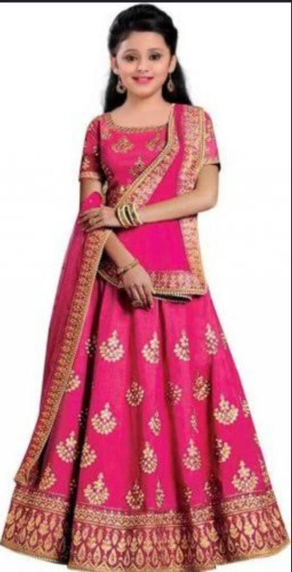 Kids Lahenga Choli - Image 4