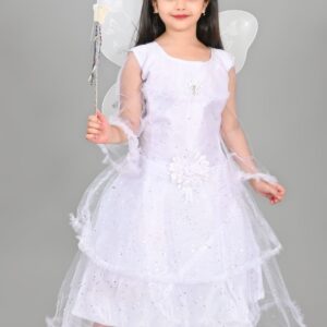 Pari Frock & Dress
