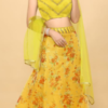 Crape choli